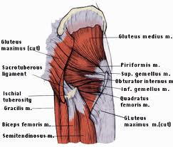 Lateral Hip Pain Treatment - Alpine Physical Therapy & Spine Care